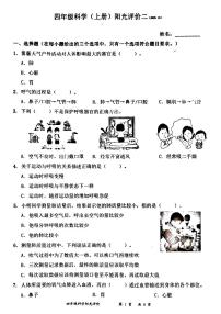 广东省深圳市罗湖区2025-2026学年四年级上学期10月阳光评价二科学试题（月考）