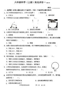 广东省深圳市罗湖区2025-2026学年六年级上学期9月阳光评价一科学试题（月考）