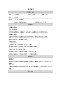 小学科学教科版(2024)六年级上册电和磁表格教案