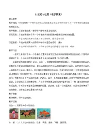 苏教版（2024）运动与位置教案