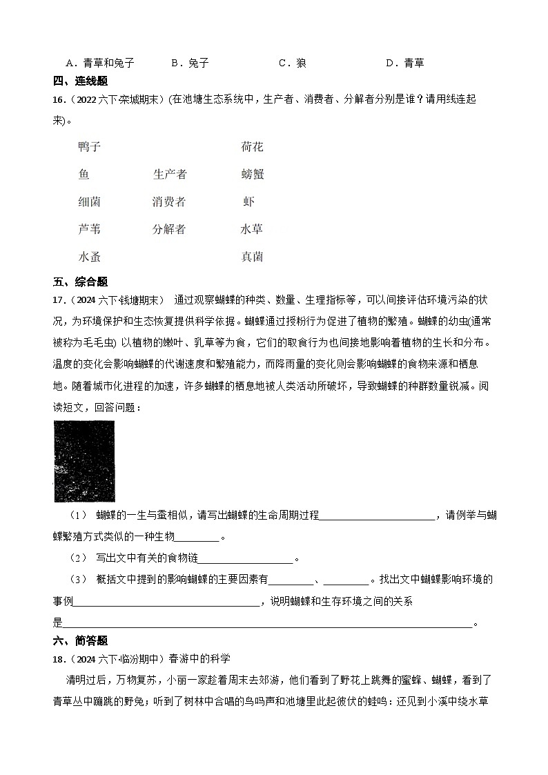 粤教粤科版六年级下册科学3.17《食物网中的生物》(学生版)第2页