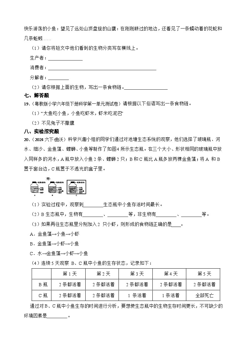 粤教粤科版六年级下册科学3.17《食物网中的生物》(学生版)第3页