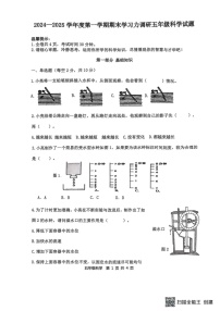 山东省滨州市阳信县2024-2025学年五年级上学期1月期末科学试题