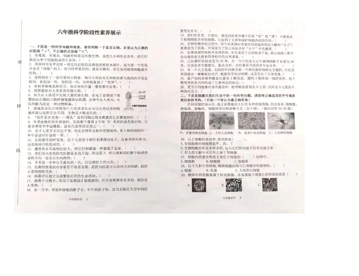 山东省潍坊某地区2025-2026学年六年级上学期期中科学试题第1页