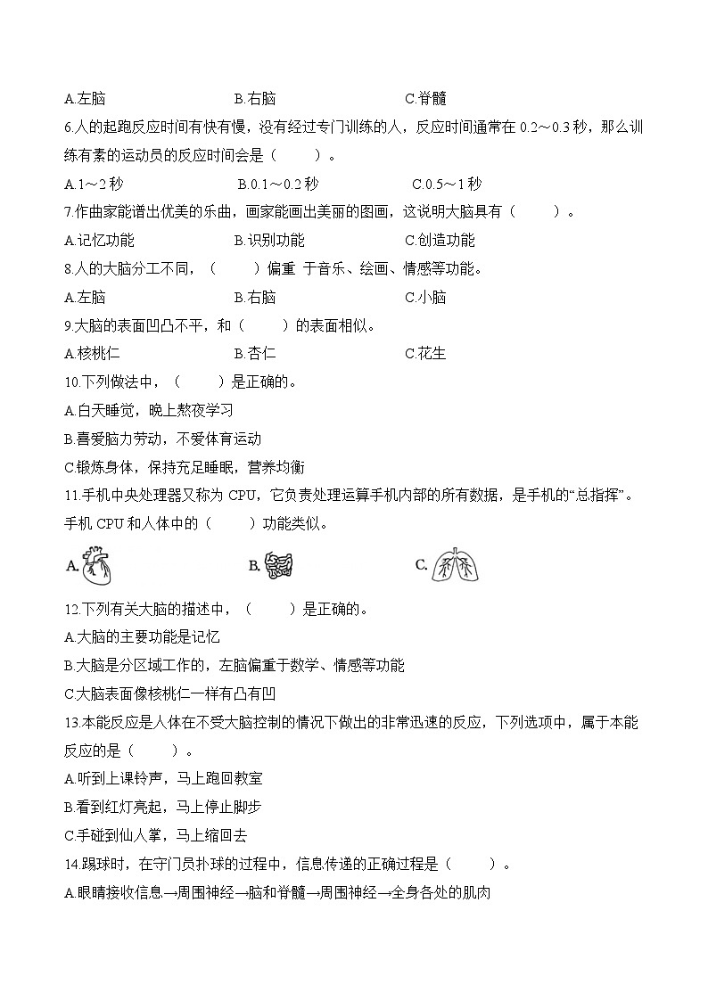 苏教版五年级科学上册第5单元 人体“司令部”单元测试(含答案)第2页