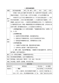 小学科学教科版（2024）一年级上册（2024）我们知道的植物教案设计