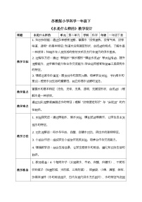 小学科学苏教版（2024）一年级下册水是什么样的教案设计