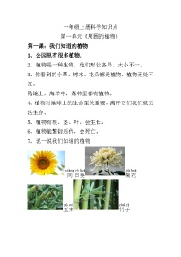 [小学科学]期末知识点汇总--2025-2026学年教科版科学一年级上册