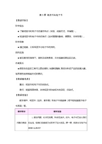 小学科学大象版（2024）三年级上册（2024）5  纸质书与电子书表格教案