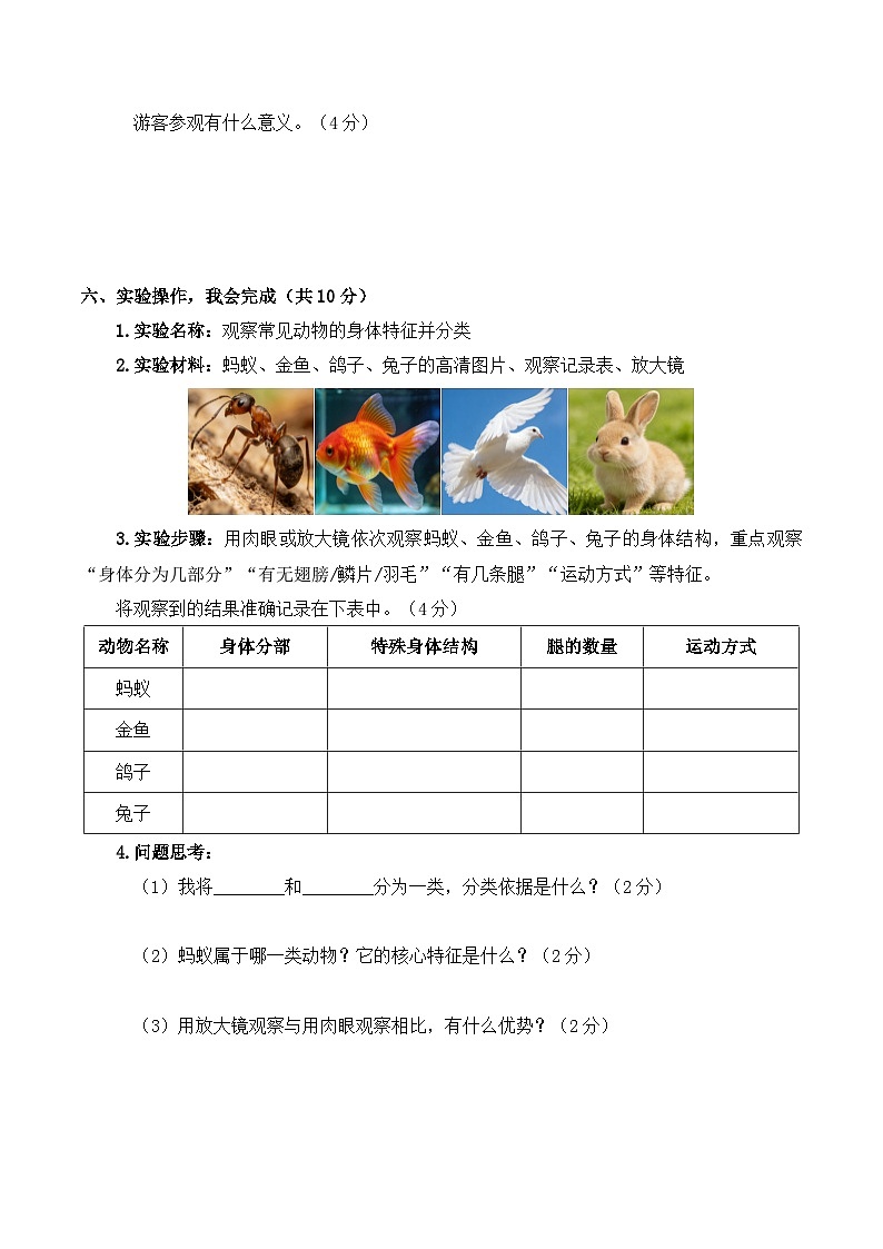 2026年春教科版(2024)小学科学三年级下册第二单元第1课 不同种类的动物 同步练习及解析第3页
