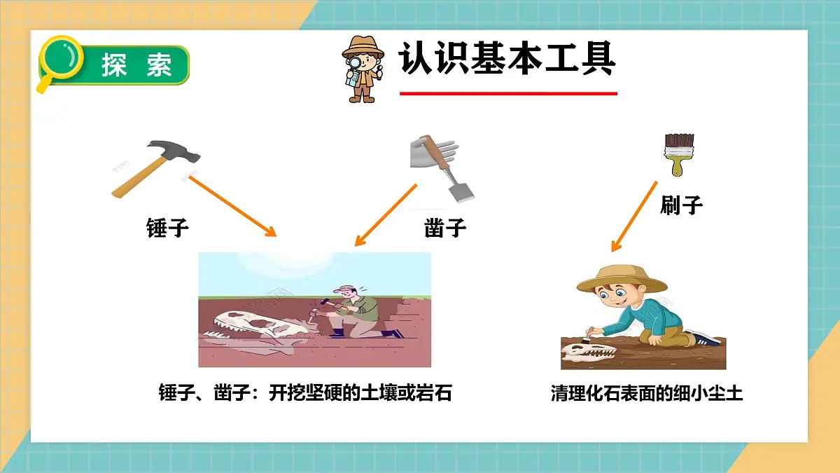 1.2挖掘恐龙“化石”第6页