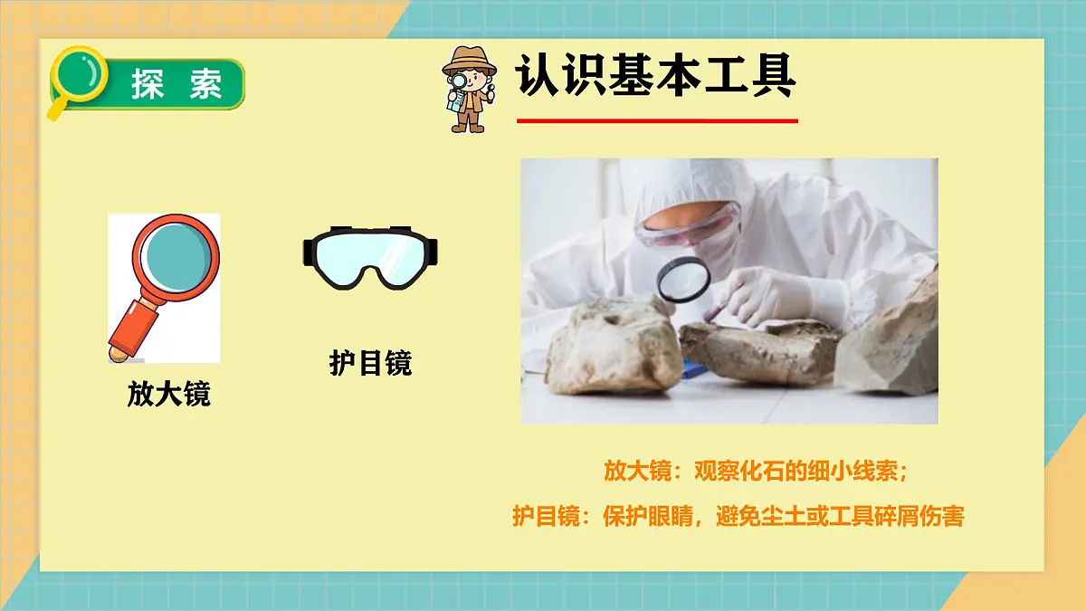 1.2挖掘恐龙“化石”第7页