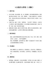 科学一年级下册（2024）水是什么样的教案