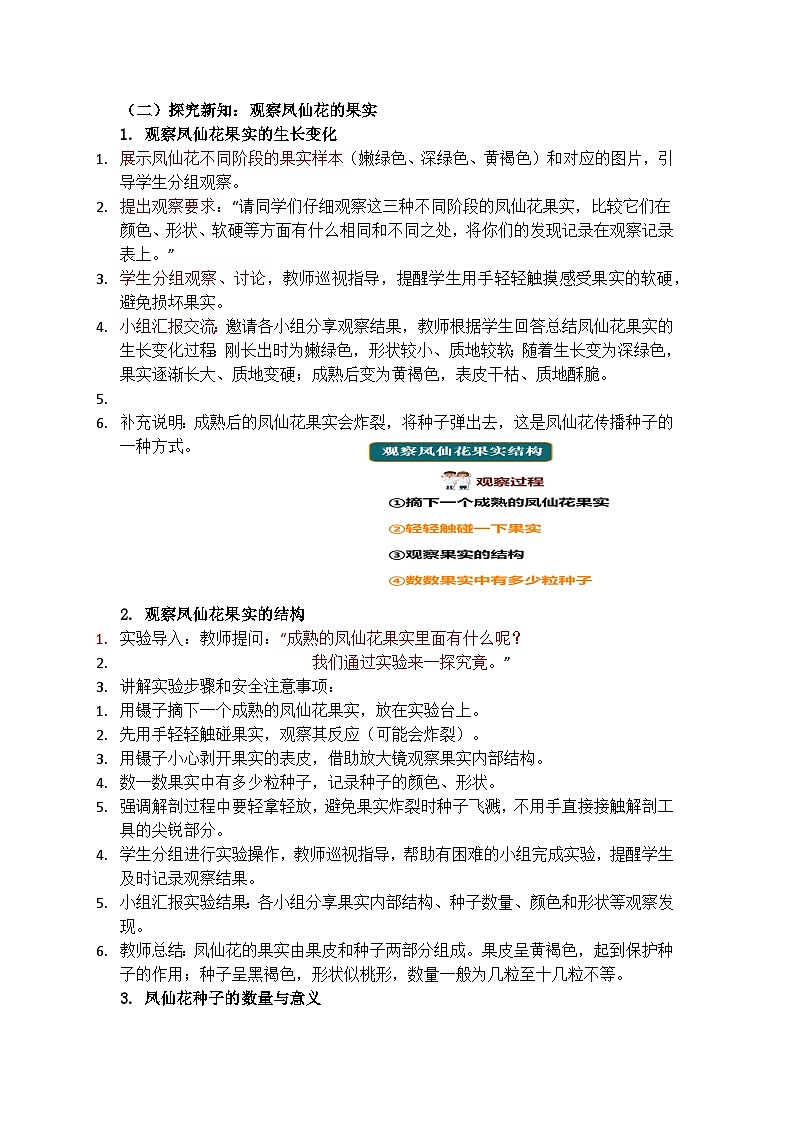 1.6《果实和种子》教学设计(含教学反思)第3页