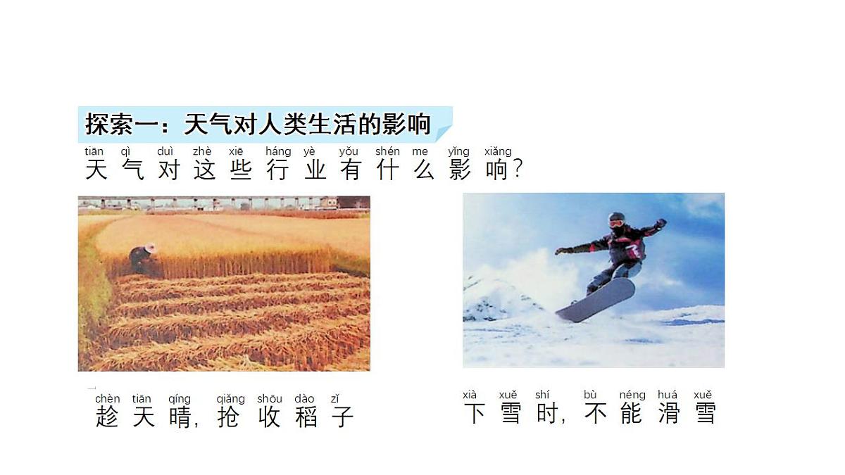 17828727第5页