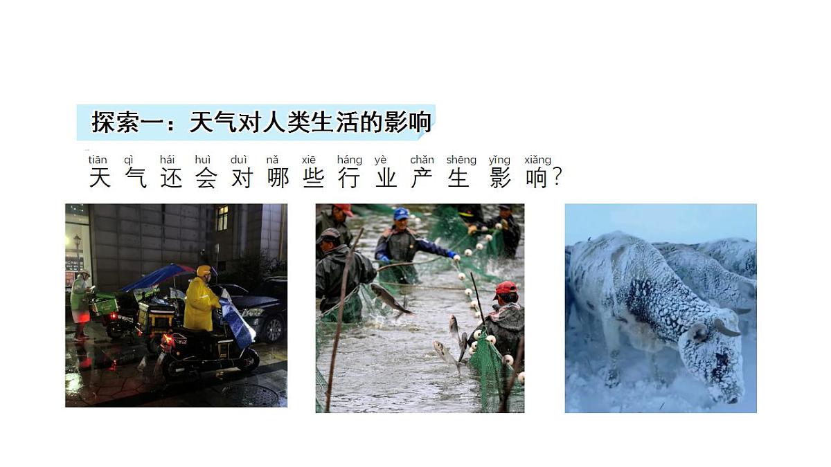 17828727第7页