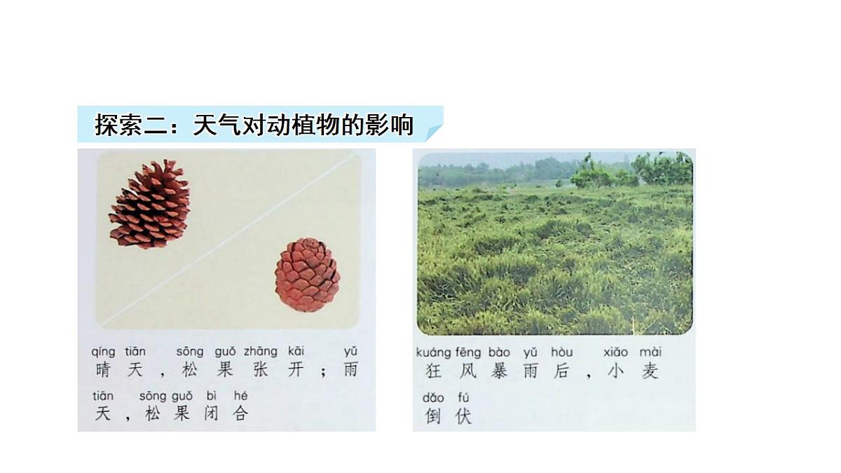 17828727第8页