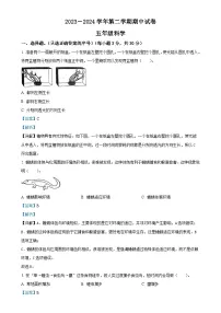 甘肃省庆阳市镇原县教科版五年级下册期中考试科学试卷(解析版)-A4