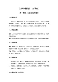 小学科学冀人版（2024）一年级下册（2024）认识植物教案及反思