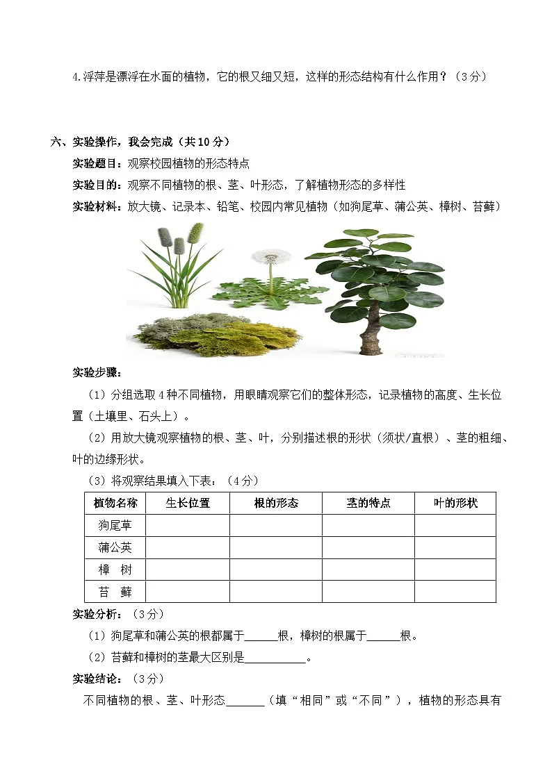 3.9 形态各异的植物 同步练习 2025-2026学年苏教版小学科学三年级下册(含解析)第3页