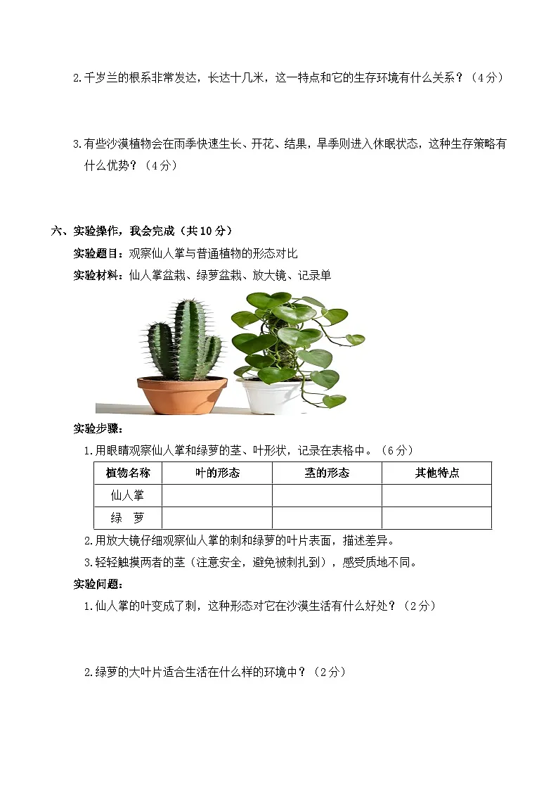 3.11 沙漠中的植物 同步练习 2025-2026学年苏教版小学科学三年级下册(含解析)第3页