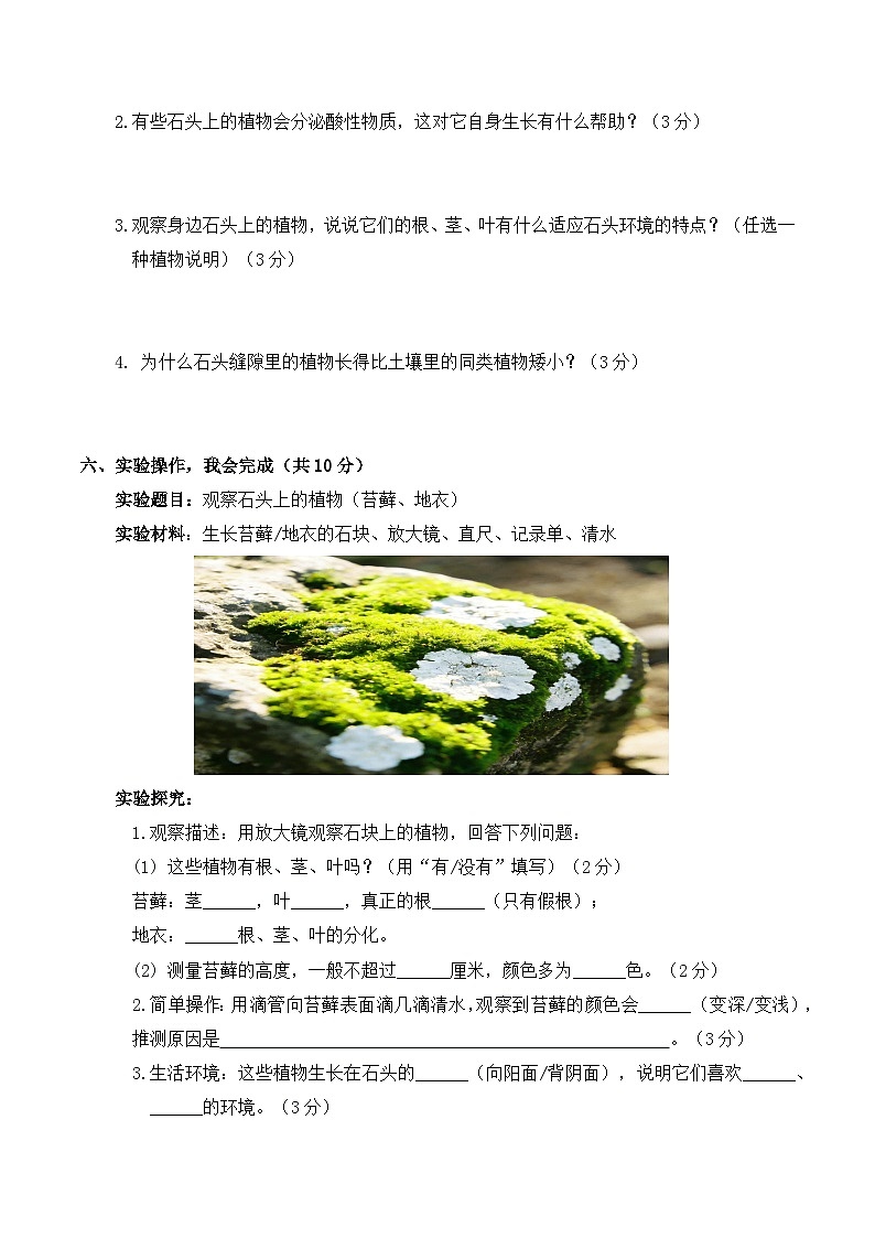 3.12 石头上的植物 同步练习 2025-2026学年苏教版小学科学三年级下册(含解析)第3页