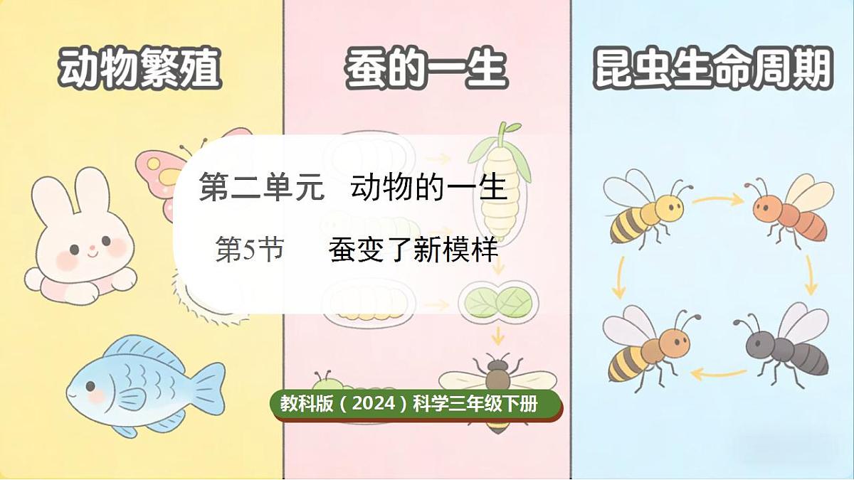 17859886第1页