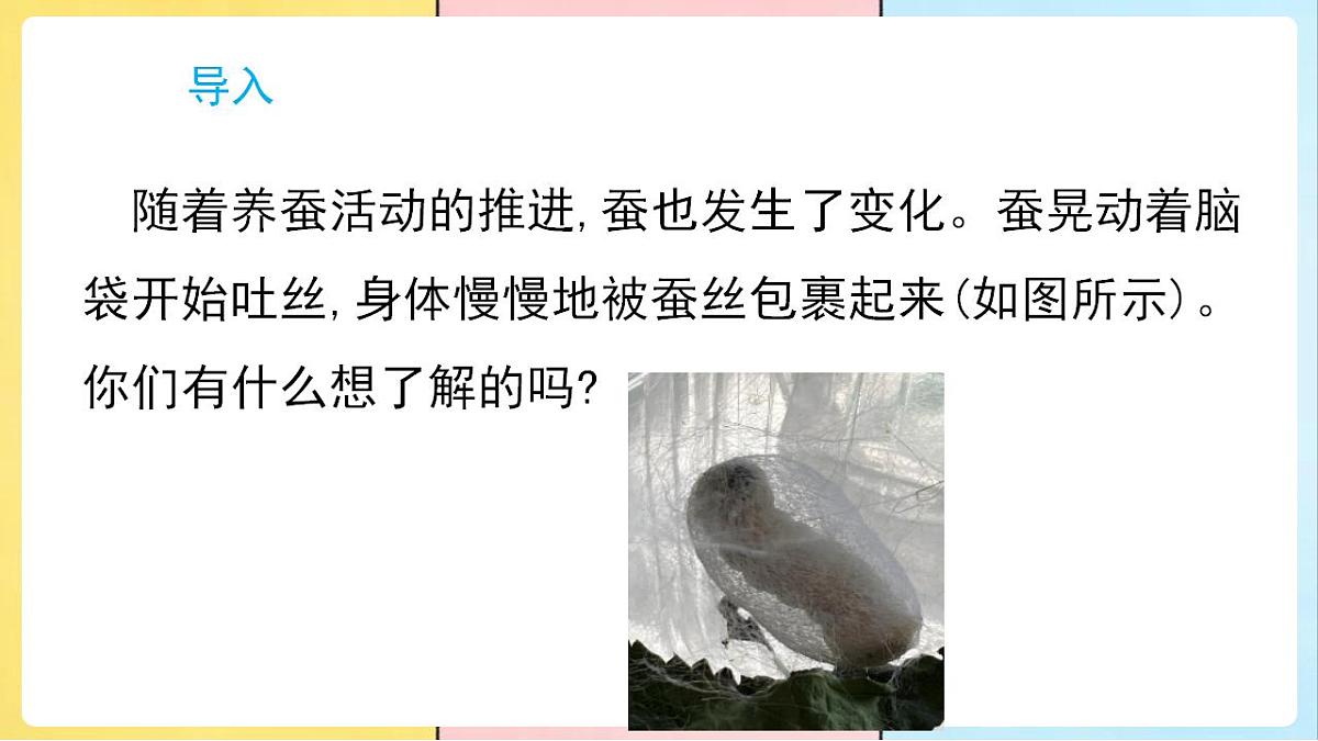 17859886第2页