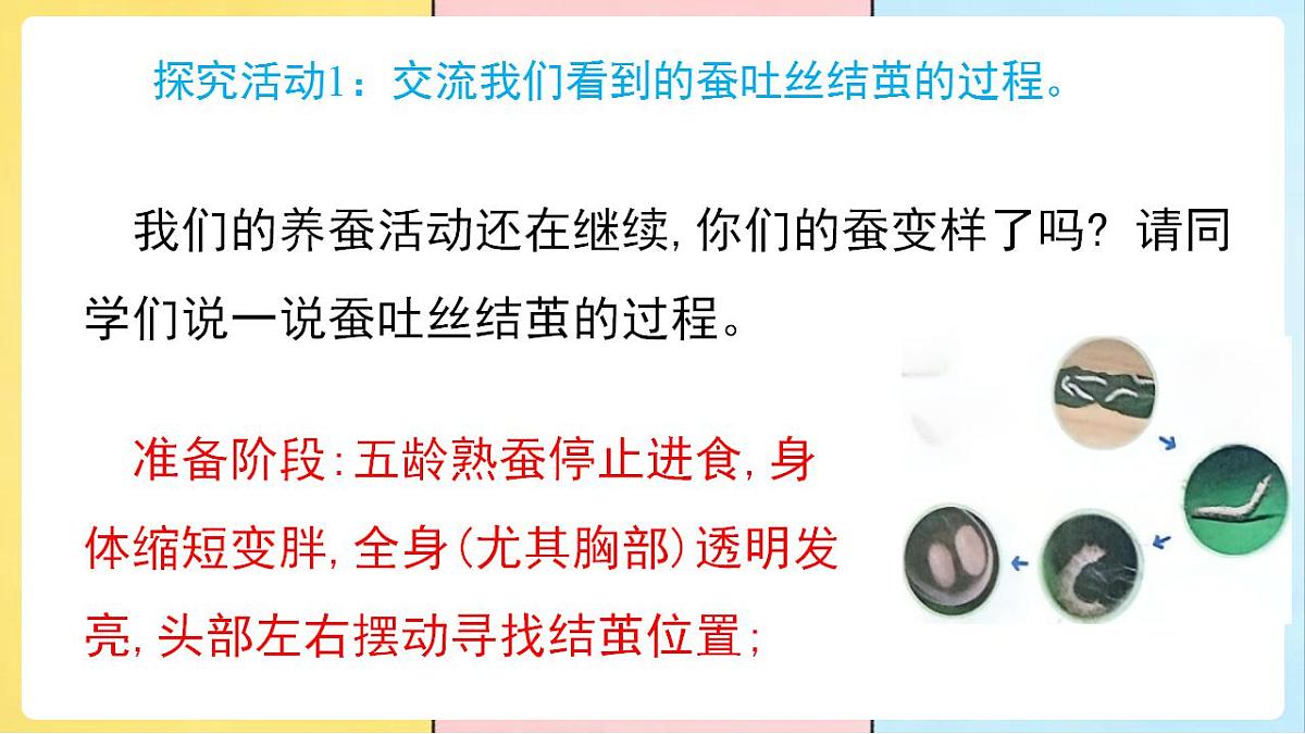 17859886第5页
