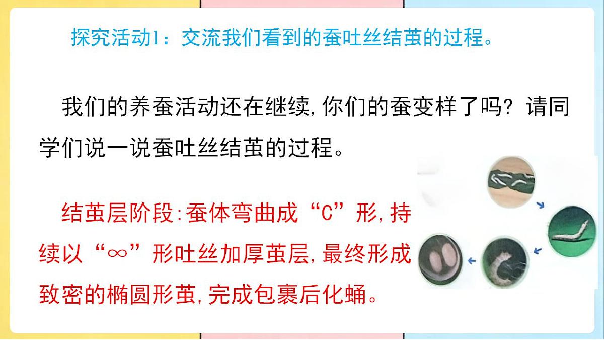 17859886第8页