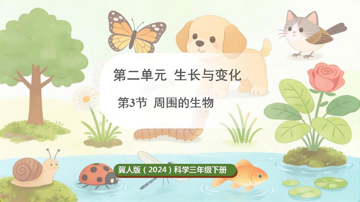 17869161第1页
