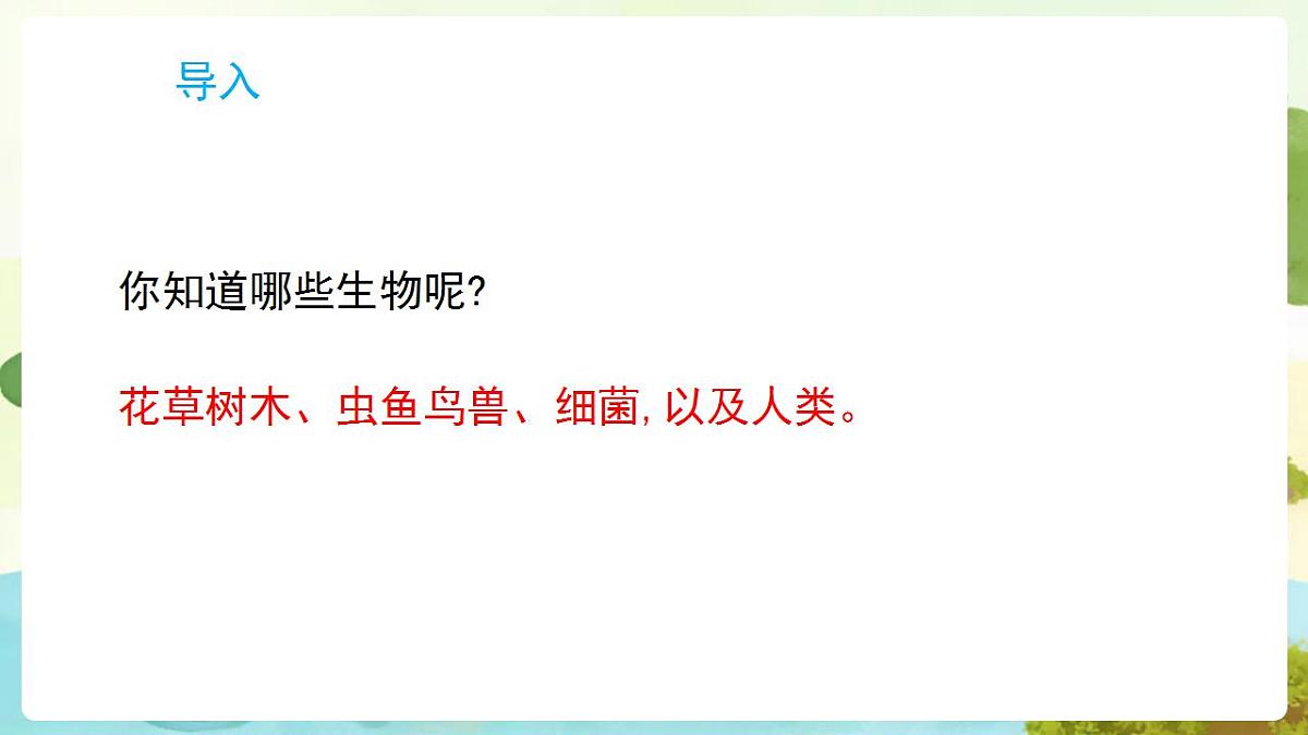 17869161第3页