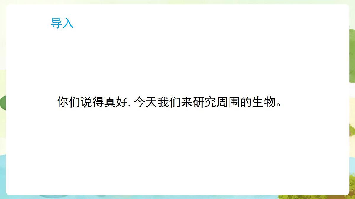 17869161第4页