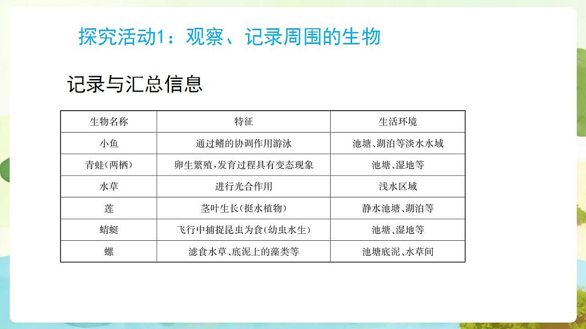 17869161第8页