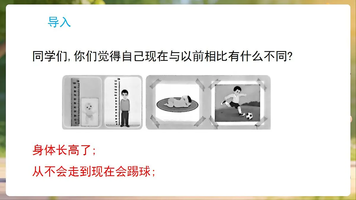 17869164第2页