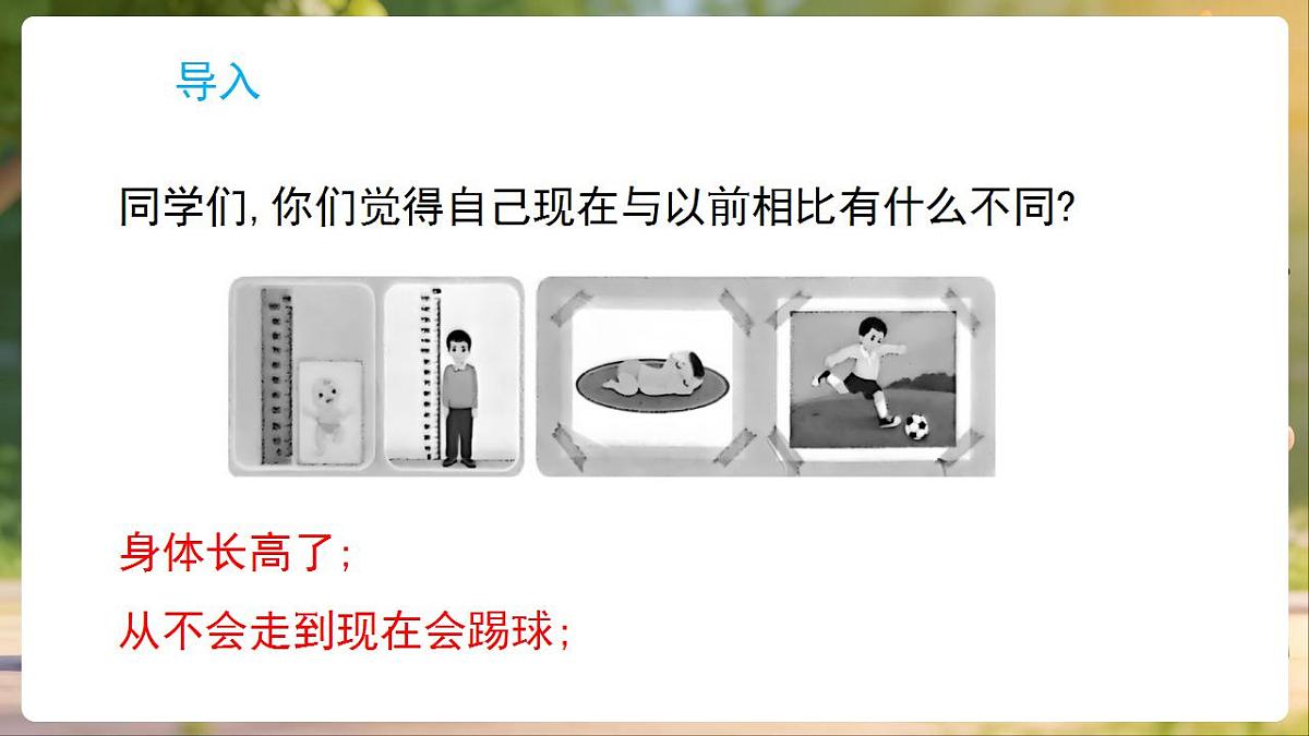 17869164第2页