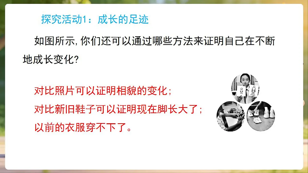 17869164第6页