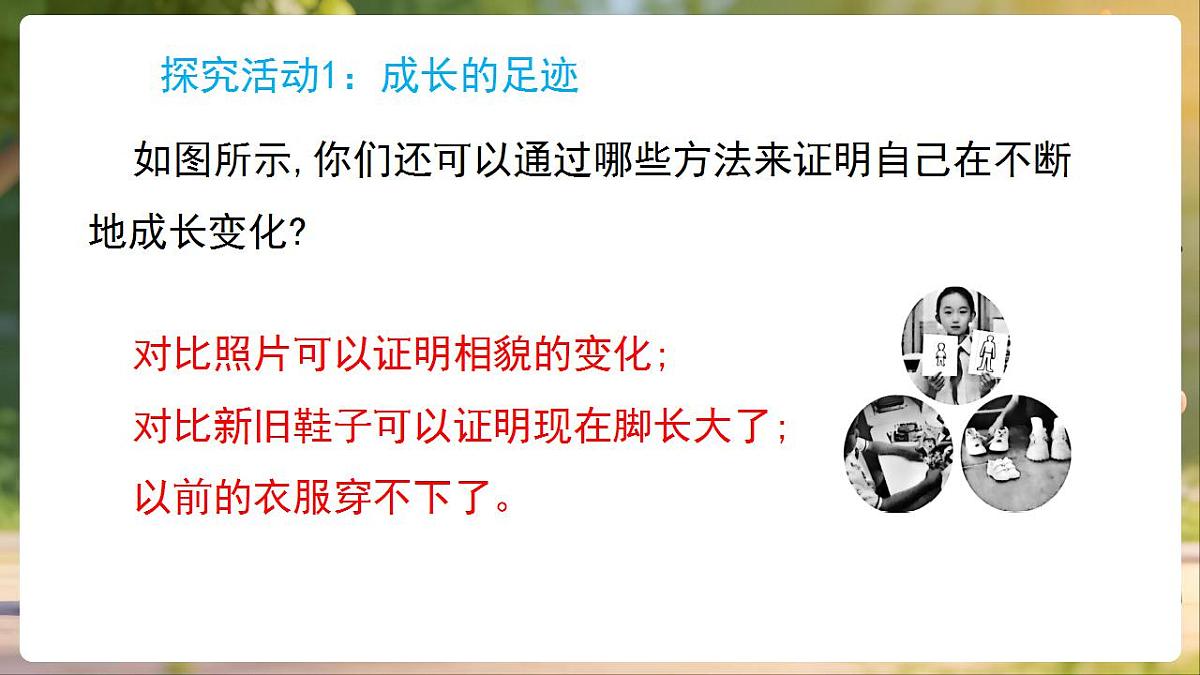 17869164第6页