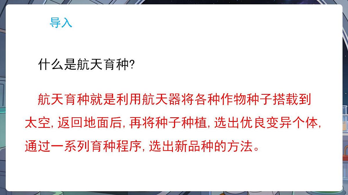 17869168第2页