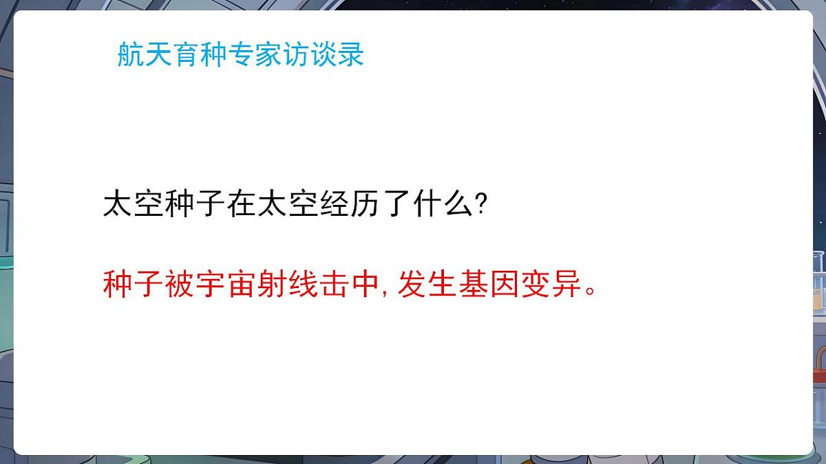 17869168第5页