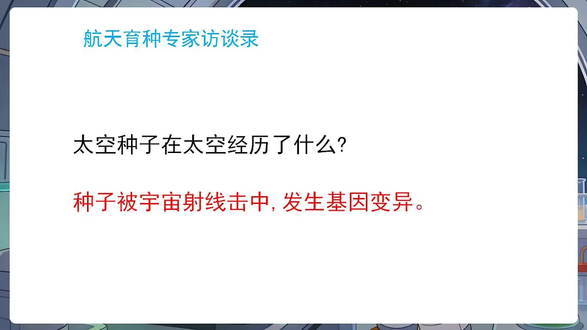 17869168第5页