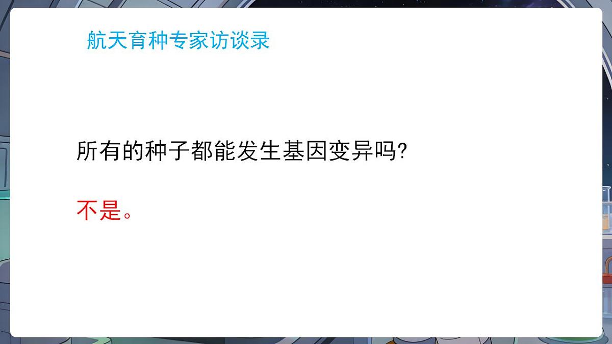 17869168第6页