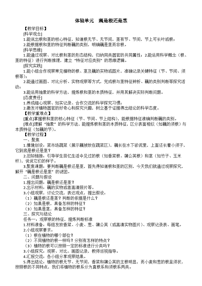 小学科学新大象版三年级下册体验单元 《藕是根还是茎》 教案(2026春)第1页
