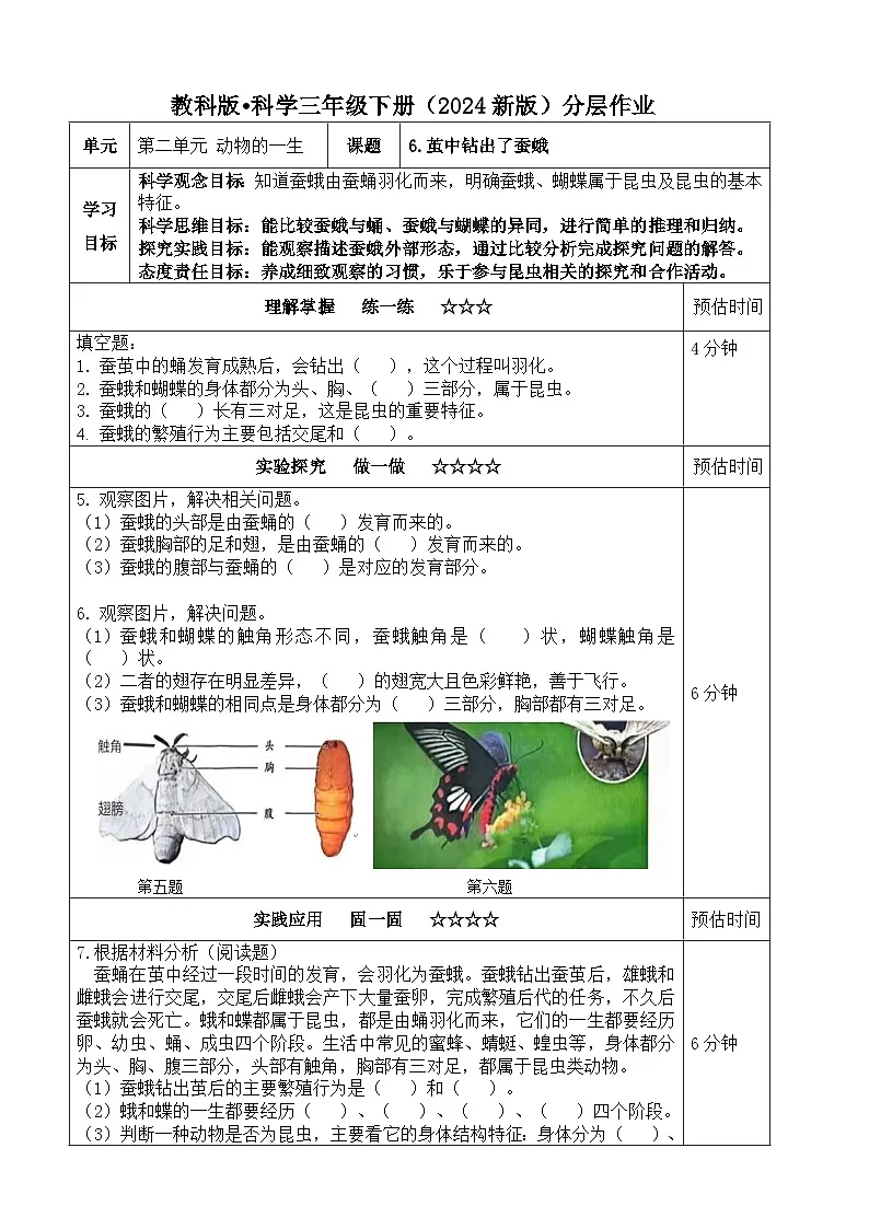 2.6《茧中钻出了蚕蛾》分层练习(含答案)2025-2026学年教科版三年级科学下册第1页