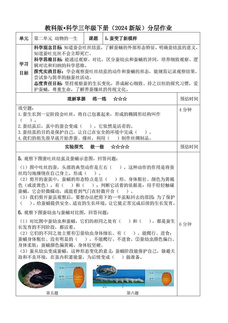 教科版三年级科学下册 2.5《蚕变了新模样》分层练习(含答案)第1页