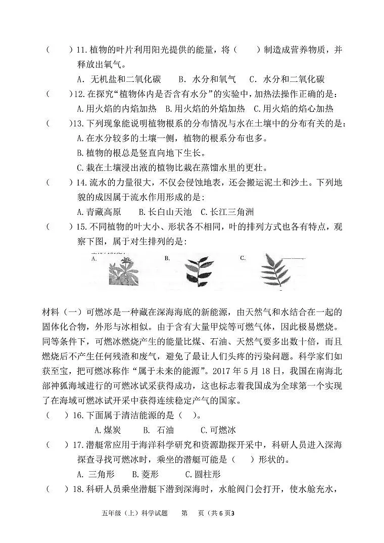 度第一学期五年级科学期末卷第3页
