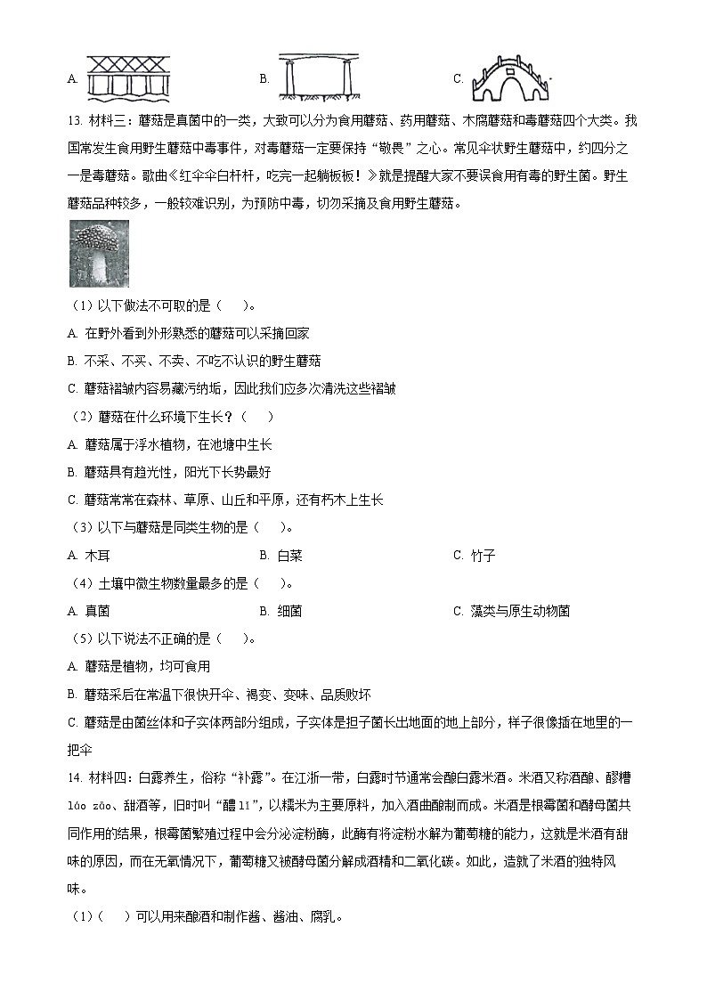 广东省江门市台山市粤教版五年级下册期中考试科学试卷(原卷版)-A4第3页