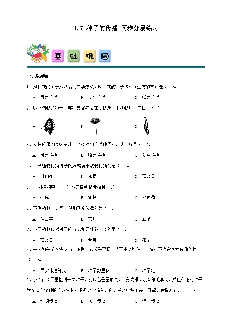 1.7 种子的传播 同步分层练习(含答案)2025-2026学年教科版四年级科学下册第1页