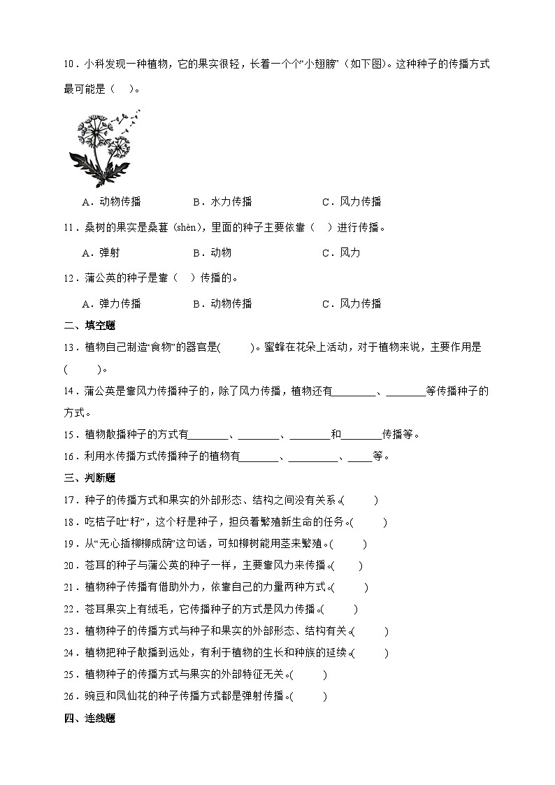 1.7 种子的传播 同步分层练习(含答案)2025-2026学年教科版四年级科学下册第2页