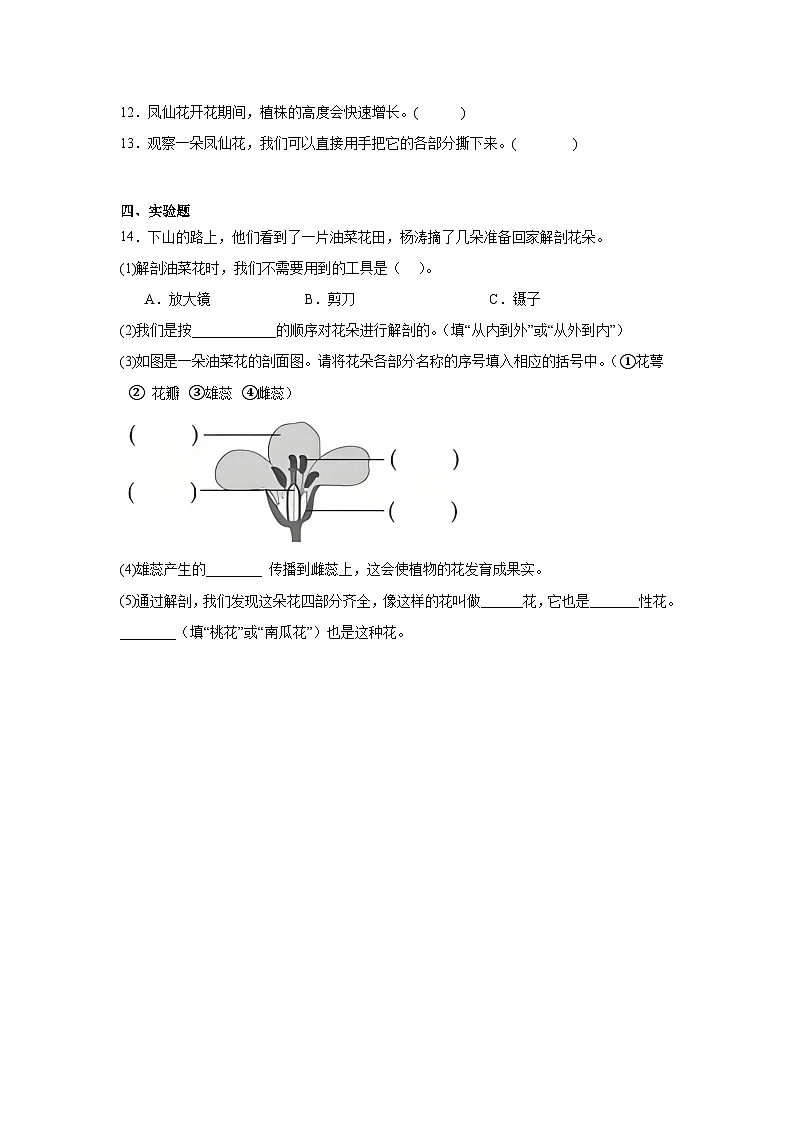 2026年教科版四年级下册(凤仙花开花了)一课一练第2页
